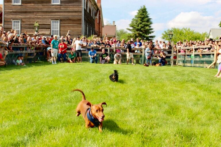 Amana Colonies Wurst Festival: Brats, Brews, Dachshund Racing, and One of Iowa’s Most Unique Summer Festivals