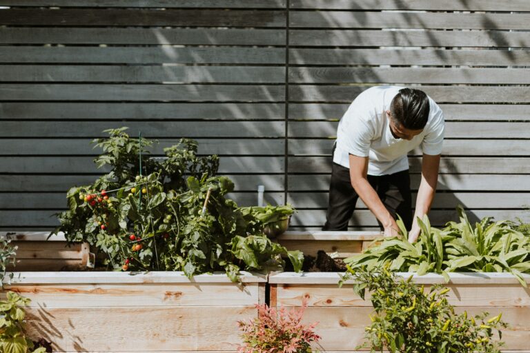 7 Iowa Farms Where You Can Pick Your Own Vegetables