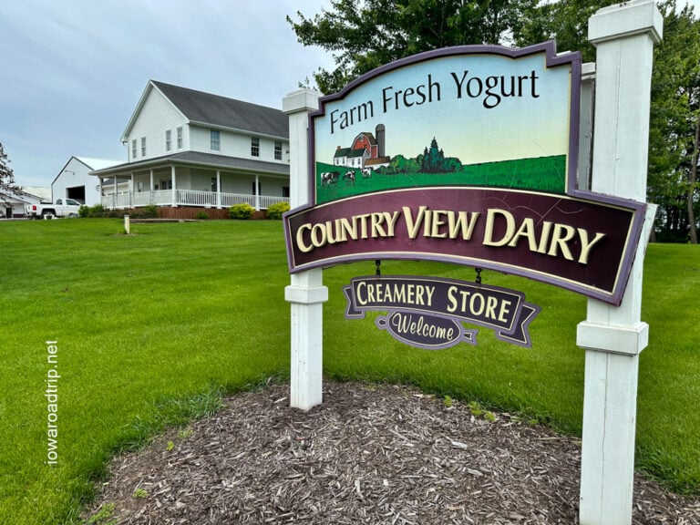 Country View Dairy: Frozen Yogurt, Calves and a Peek Behind the Scenes