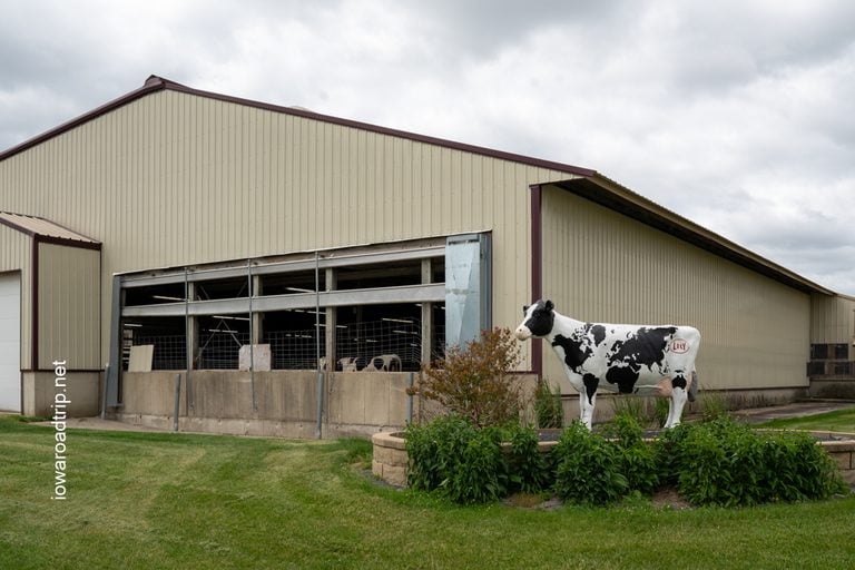 Watch Robotic Milking at Iowa’s Dairy Center in Calmar