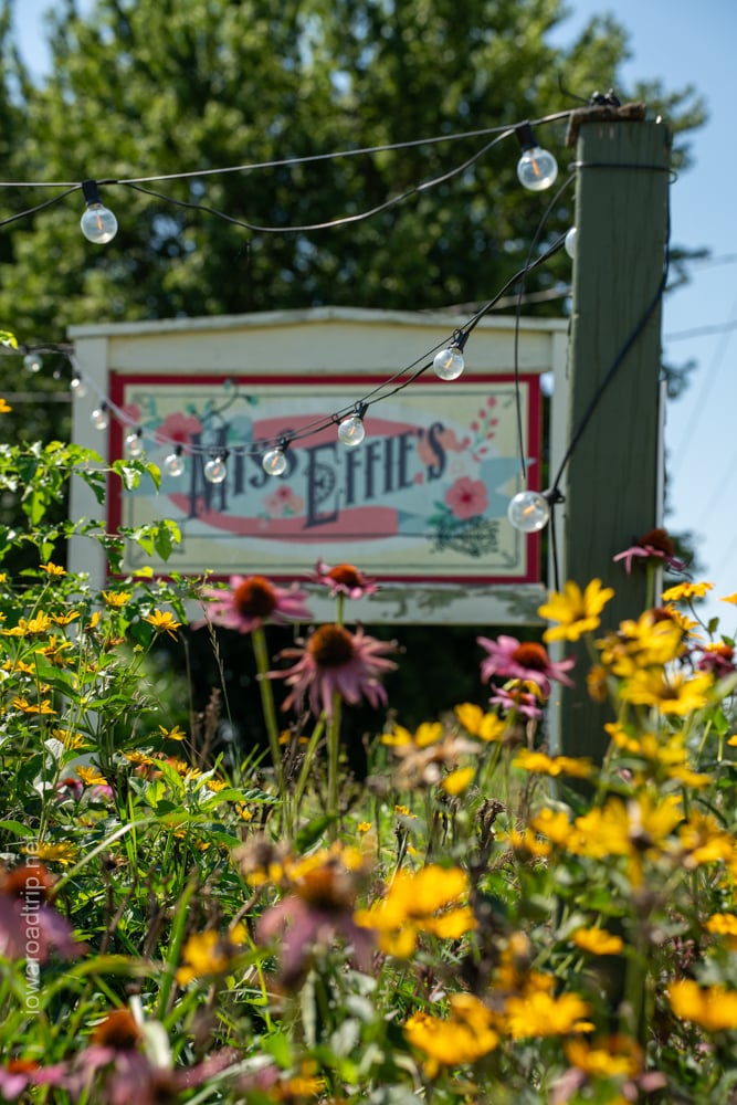 Pick Your Own Bouquet at Miss Effie’s Country Flowers Near Donahue