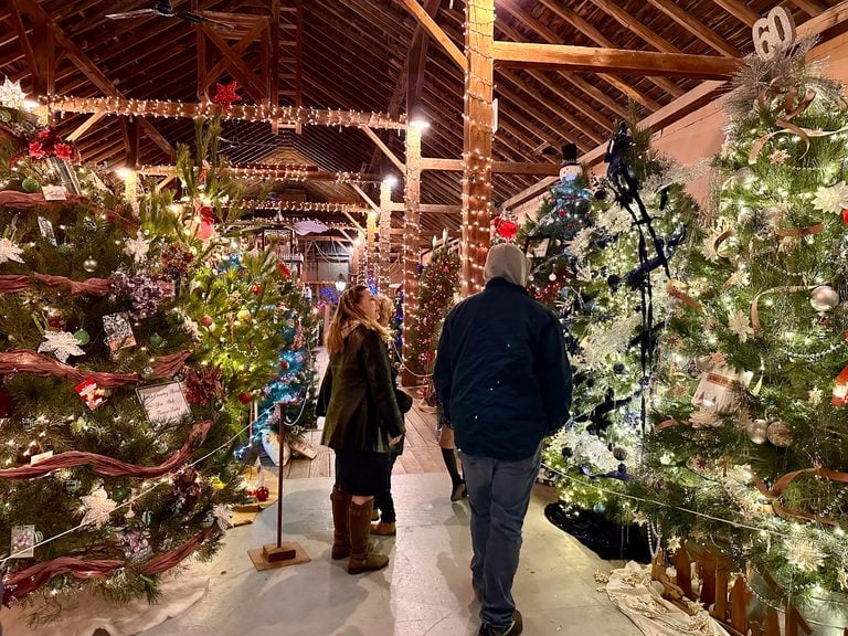 Tannenbaum Forest in the Amana Colonies (2026)